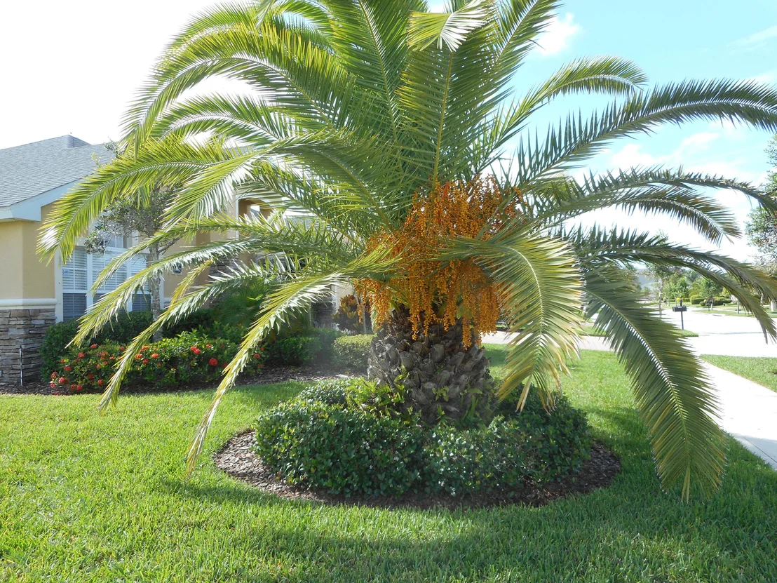 Photo of 6962 Keplar Drive