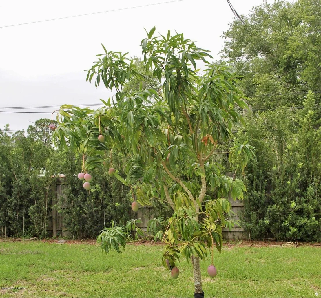 Photo of 355 N Gray Road