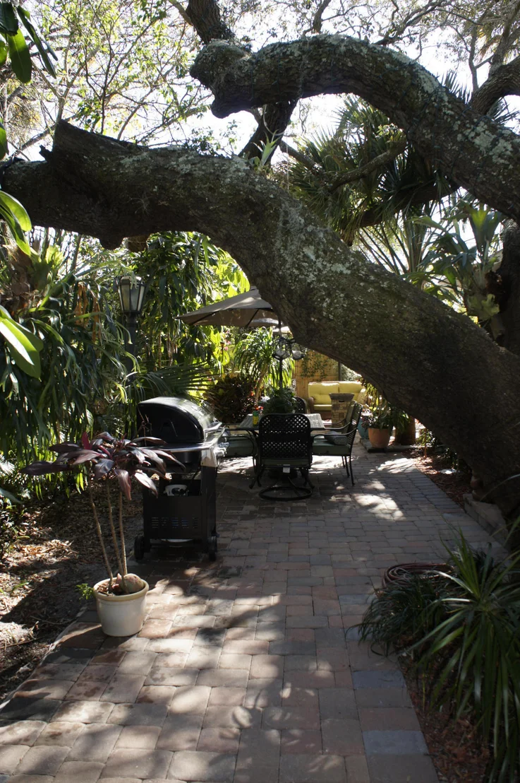 Photo of 555 Old Oak Street