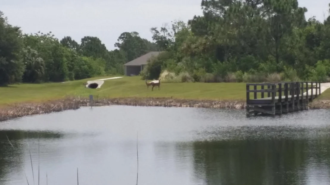 Photo of 5652 Saratoga Lane