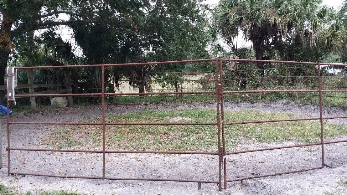 Photo of 6767 Laurel Oak Avenue