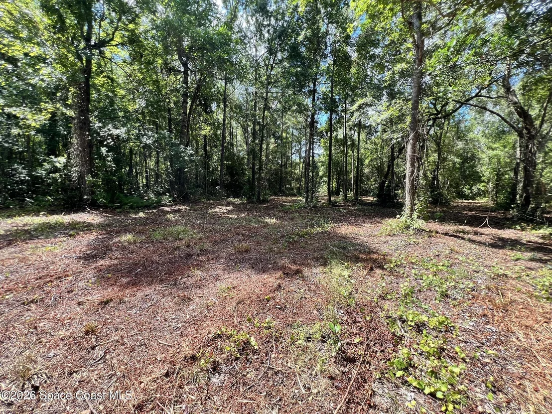 Photo of 1239,41,43 County Road 309