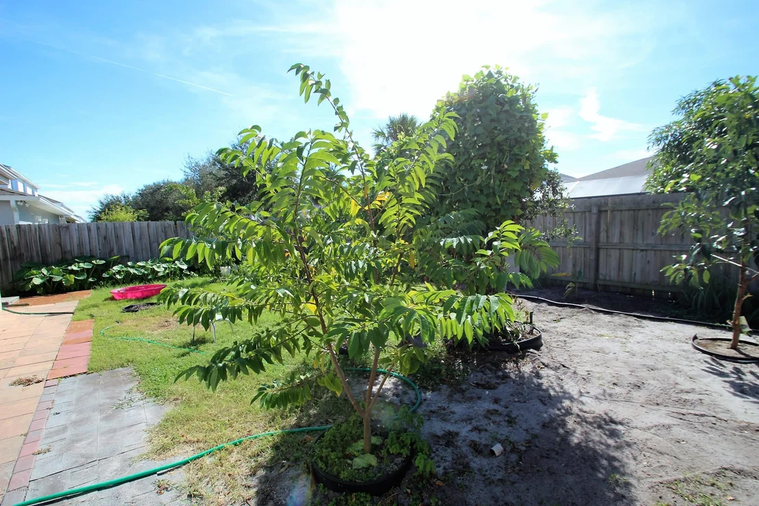 Photo of 561 Tortuga Way
