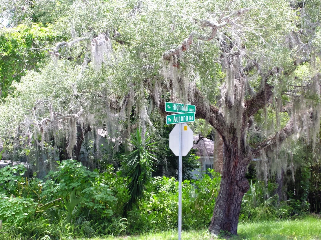 Photo of 736 Aurora Road