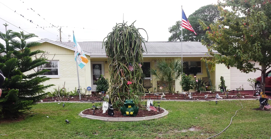 Photo of 973 Golf Street