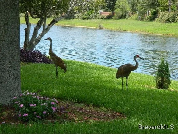 Photo of 490 Wickham Lakes