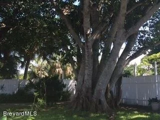 Photo of 2317 Pineapple Avenue