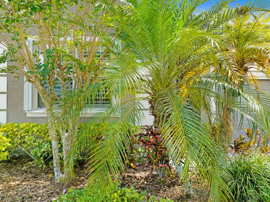 Photo of 3315 Sansome Circle