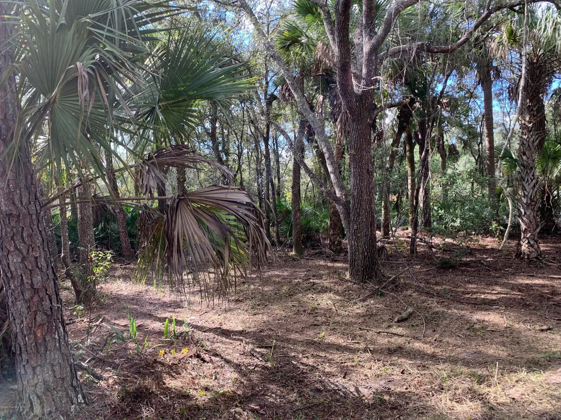 Photo of 2220 Satellite Boulevard