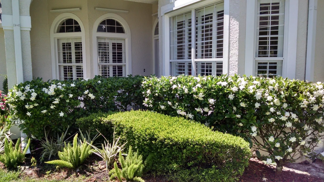 Photo of 1754 Ficus Point Drive
