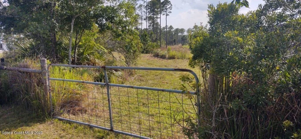 Photo of 7194 Orchid Tree Drive