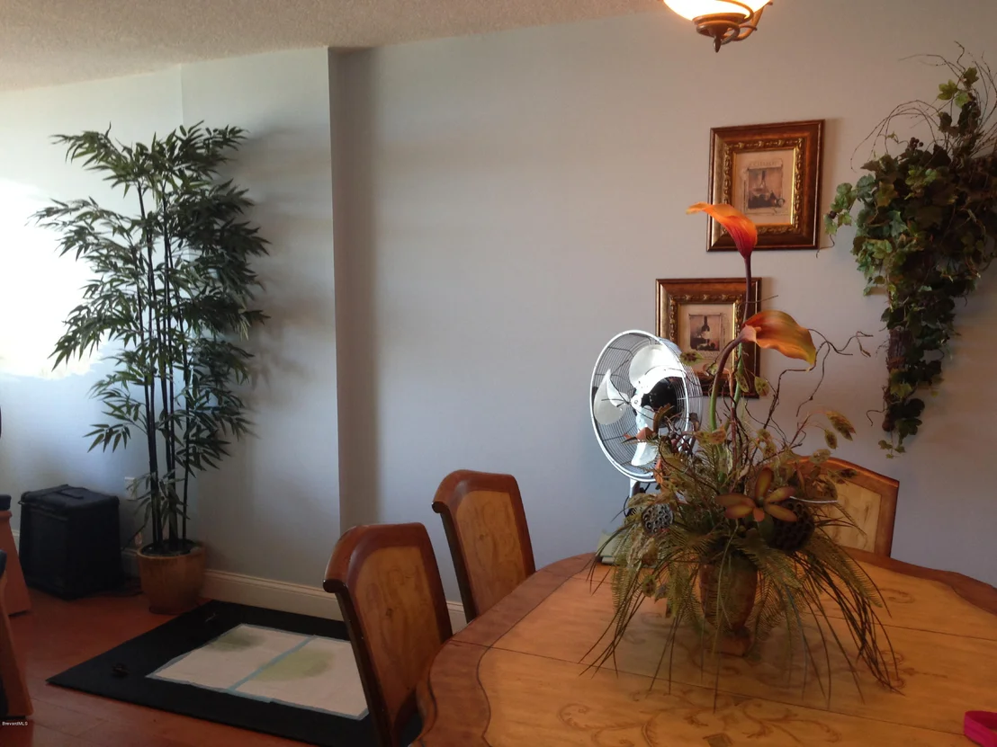 Photo of Unit 310 at 3400 Ocean Beach Boulevard