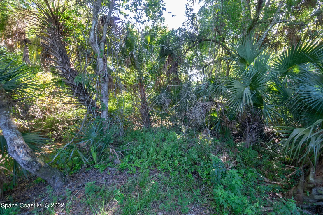 Photo of 2685 Falcon Lane