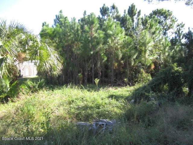 Photo of 2969 Fig Road SE