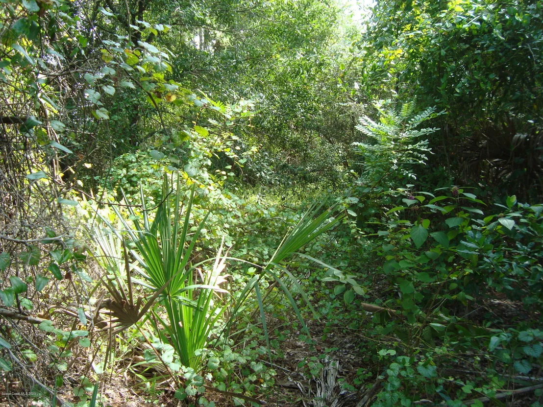 Photo of 665 Camp Road