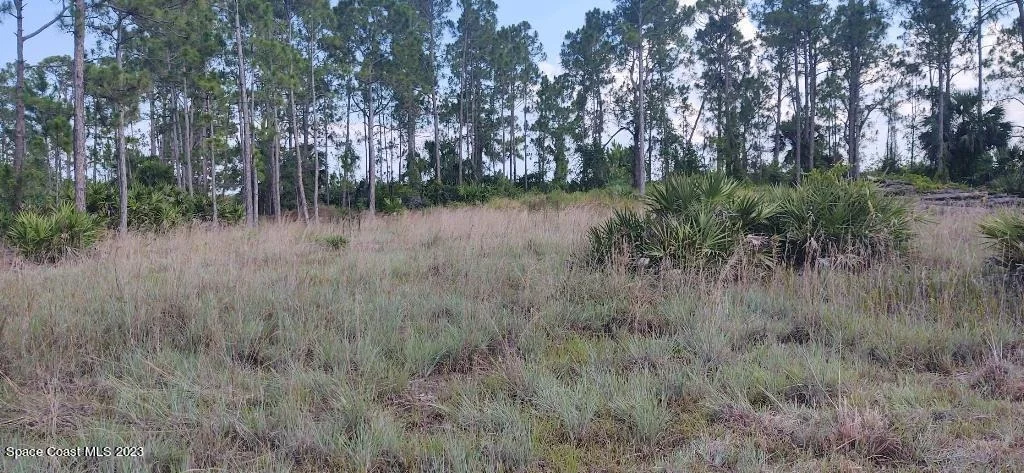 Photo of 7194 Orchid Tree Drive