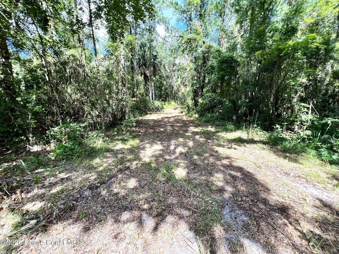 Photo of 1239,41,43 County Road 309