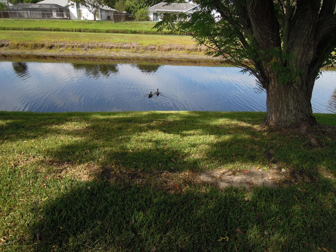 Photo of 2632 Chapparal Drive
