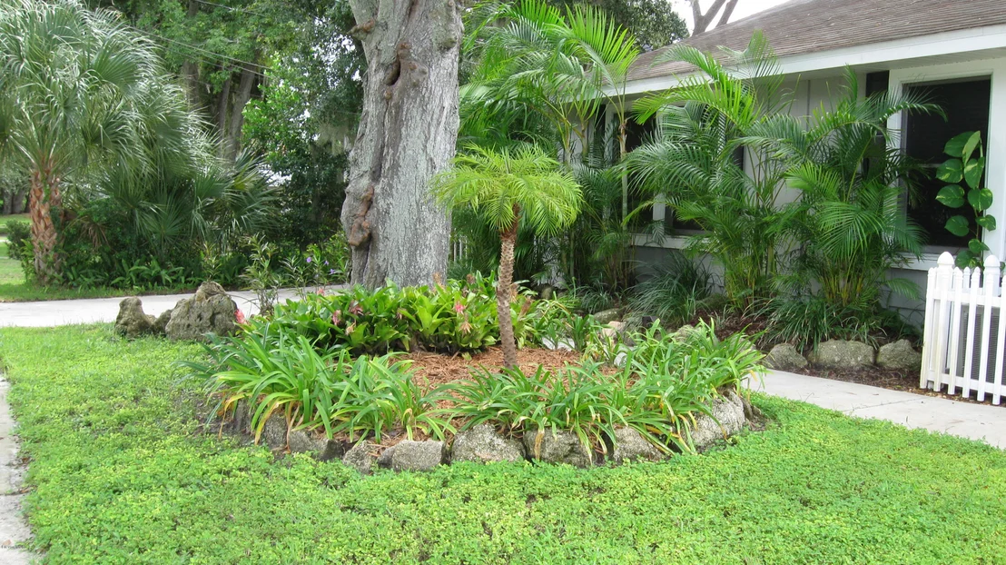 Photo of 633 Orange Court