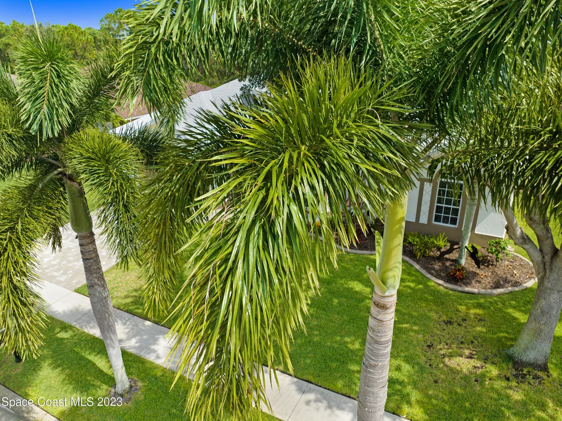Photo of 242 Pebble Hill Way