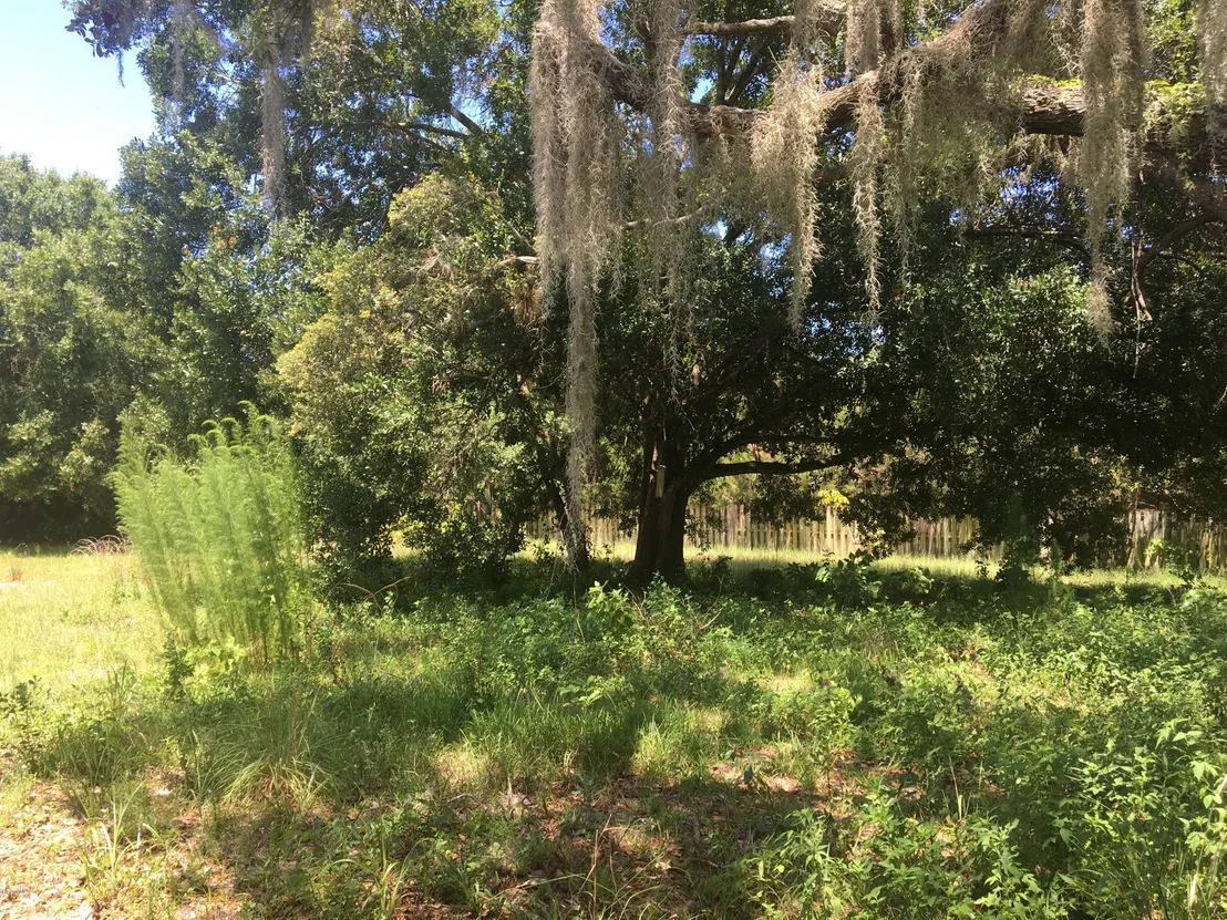 Photo of 3485 Turtle Mound Road