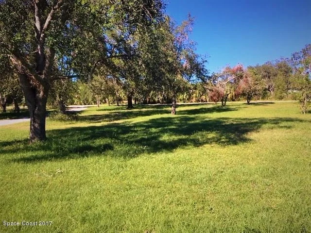 Photo of 3615 Montgomery Road