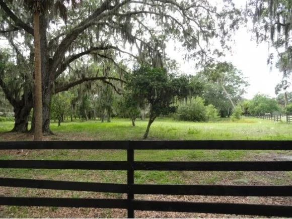 Photo of 0 Turtle Mound