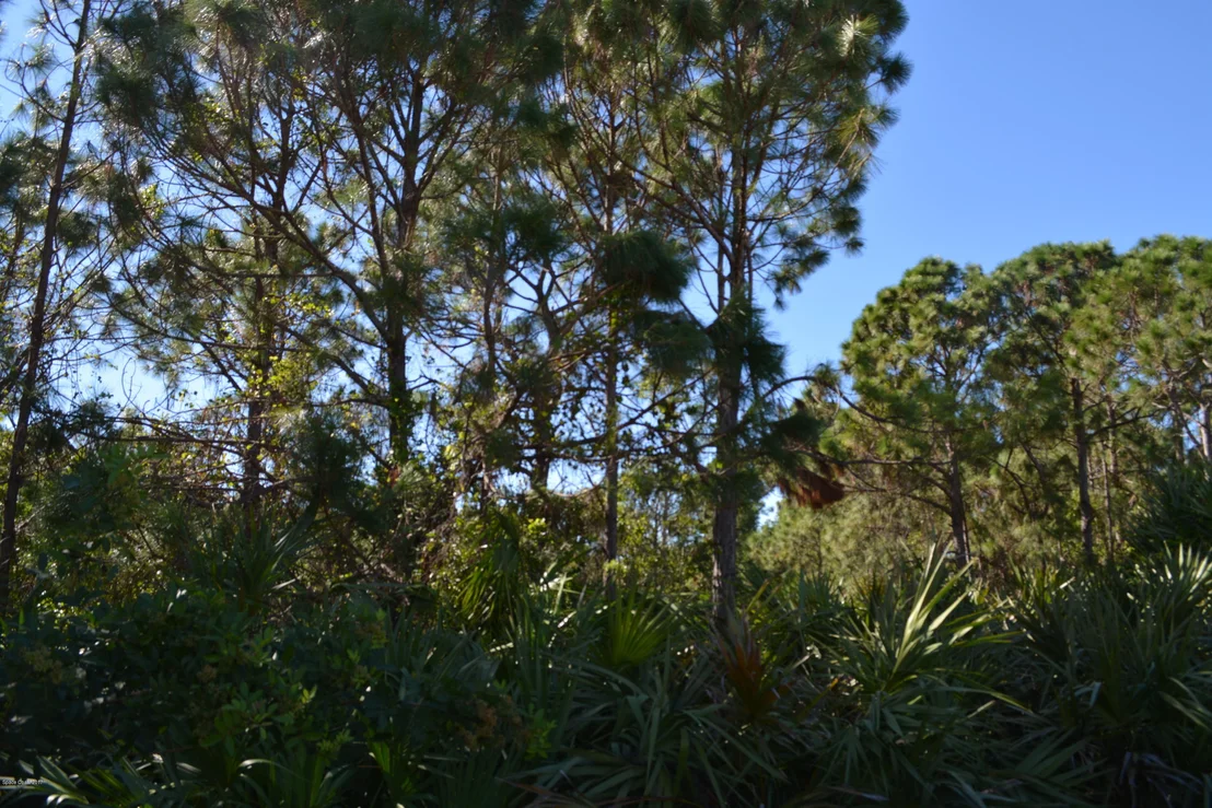 Photo of 520 Benton Drive