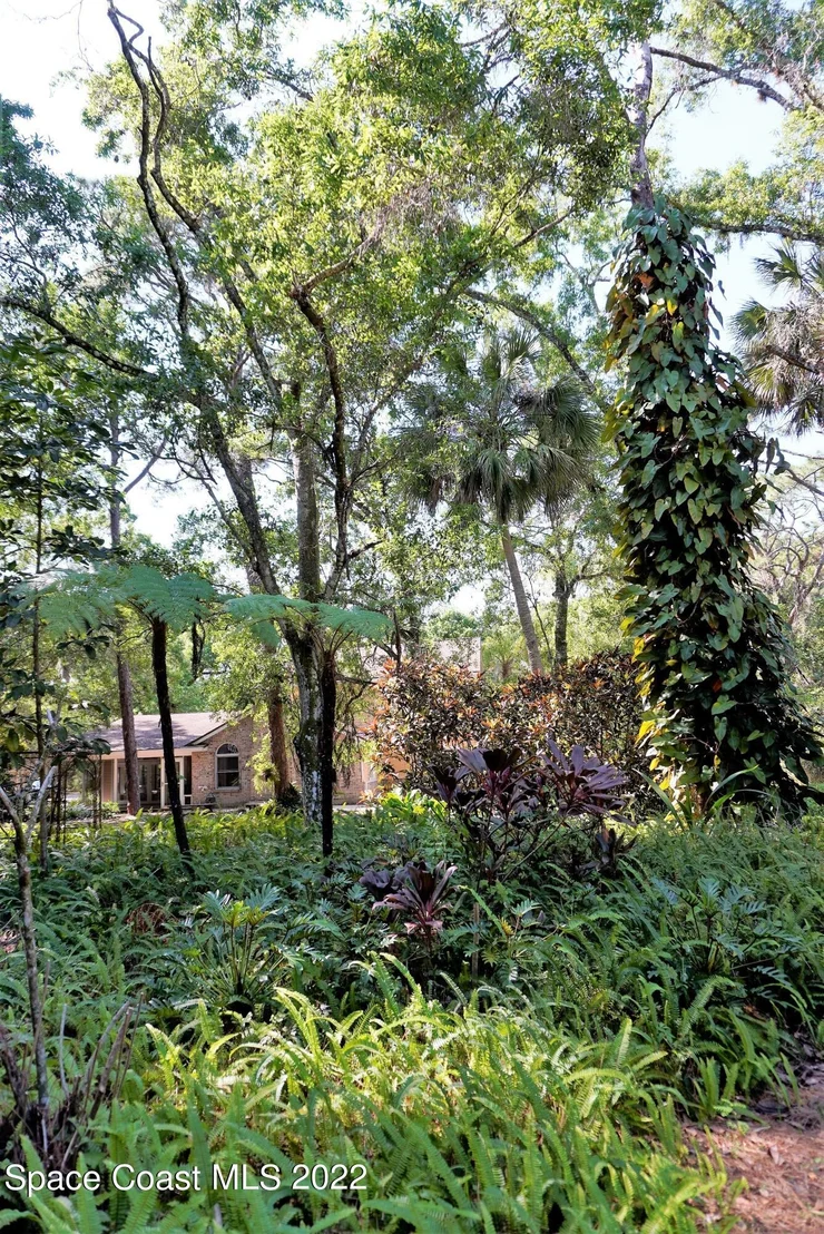 Photo of 686 Hammock Road
