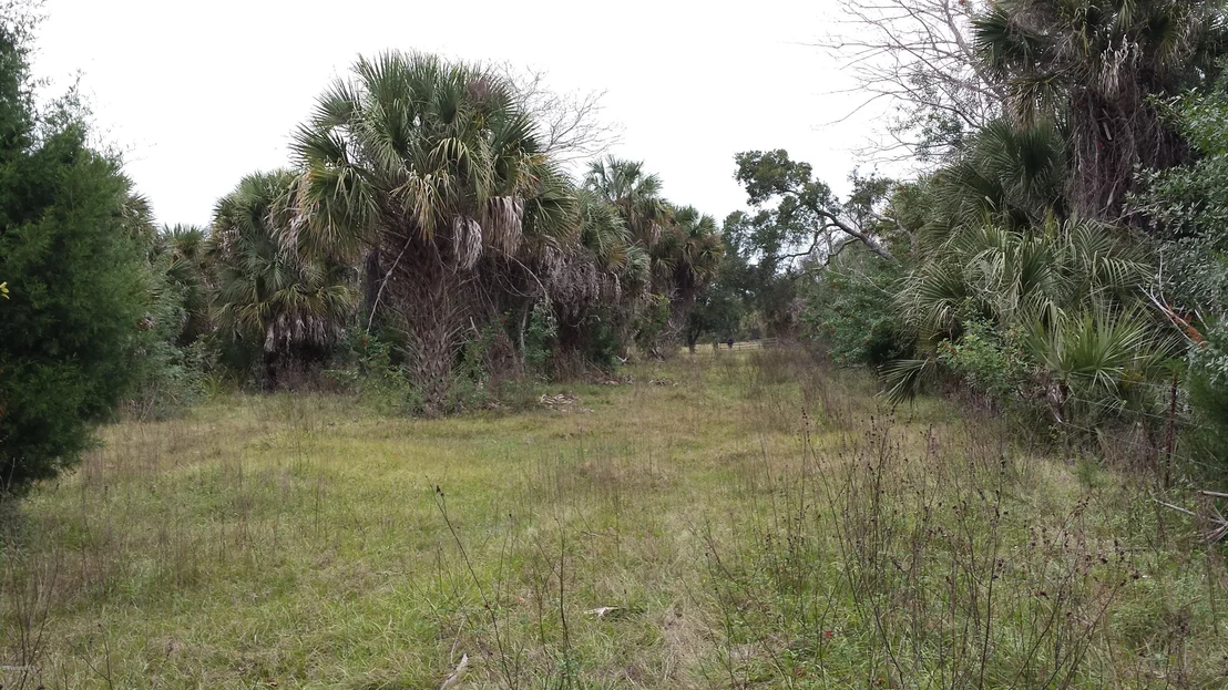 Photo of 6767 Laurel Oak Avenue