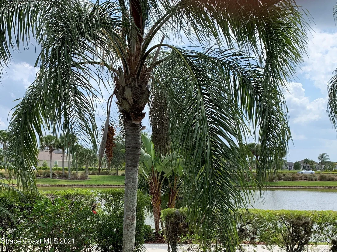 Photo of 3133 Galindo Circle