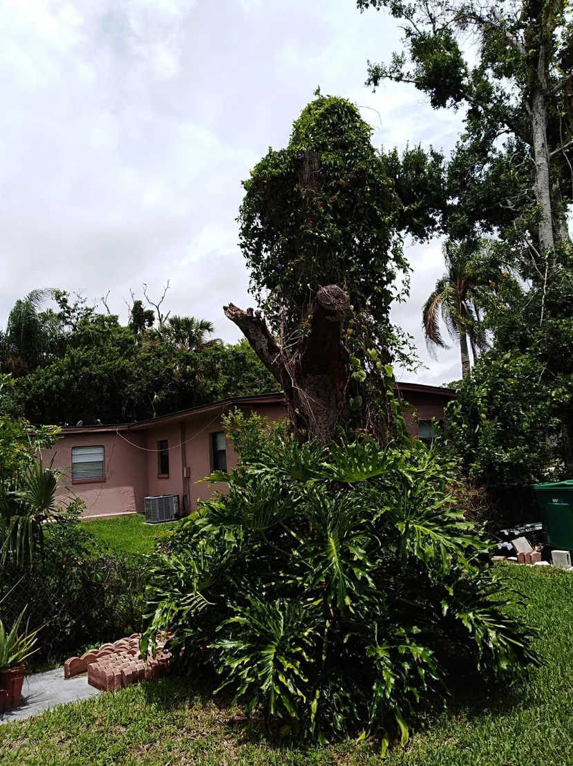 Photo of 121 Explorer Street