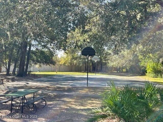 Photo of 1313 Black Willow Trail
