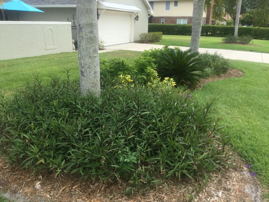 Photo of 675 Woodbridge Drive