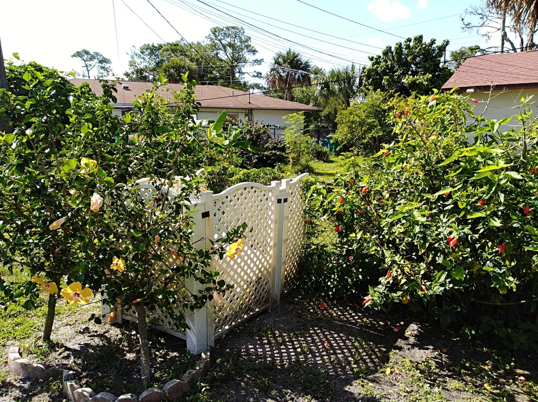 Photo of 121 Explorer Street