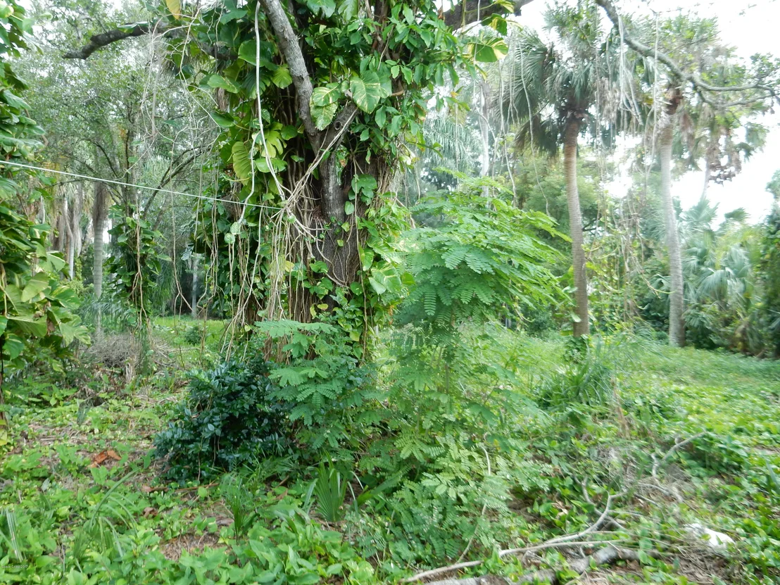 Photo of 2605 Dairy Road