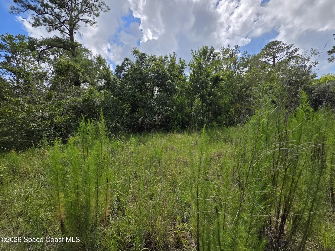 Photo of 4863 Meadow Green Road