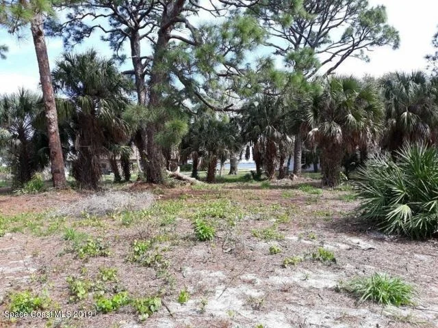 Photo of 3520 Reef Place