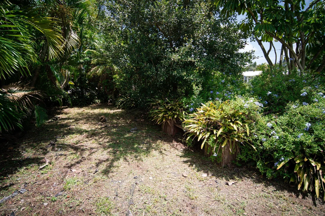 Photo of 114 Orchid Boulevard