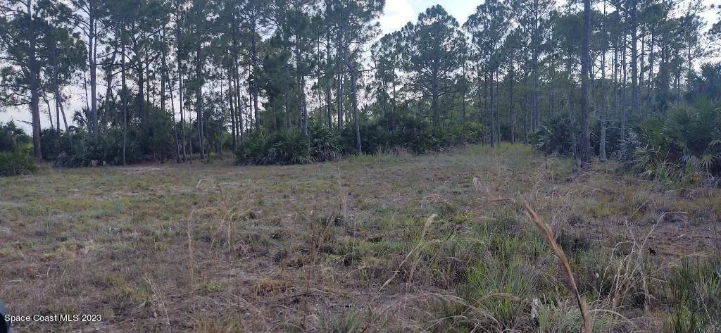 Photo of 7194 Orchid Tree Drive