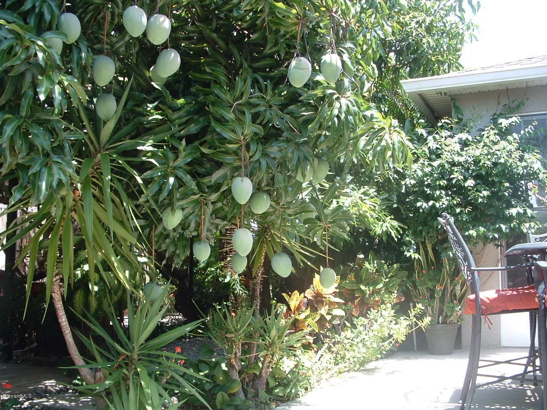 Photo of 1688 Maeve Circle