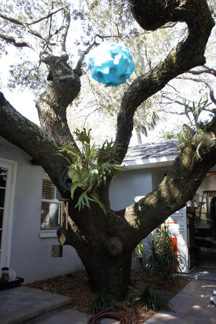 Photo of 555 Old Oak Street