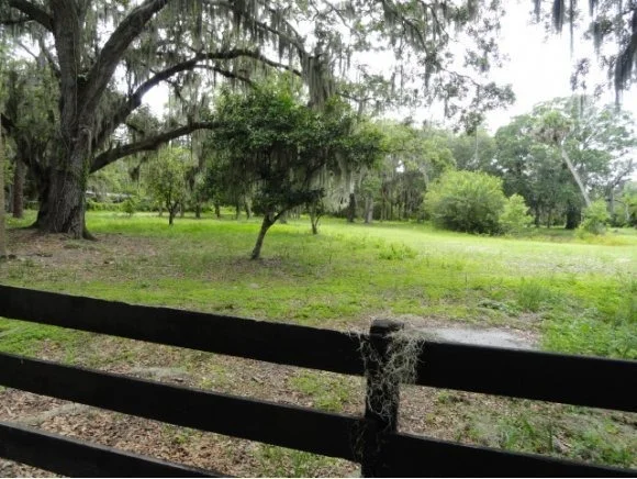 Photo of 0 Turtle Mound