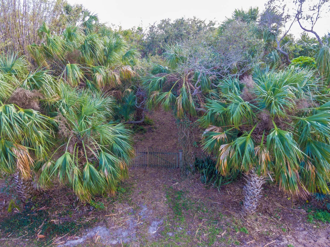 Photo of 403 Poinsettia Road