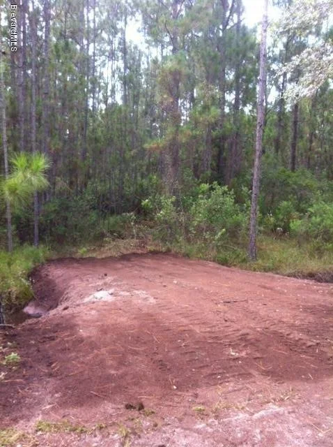 Photo of 1000 Wild Pine Road Road
