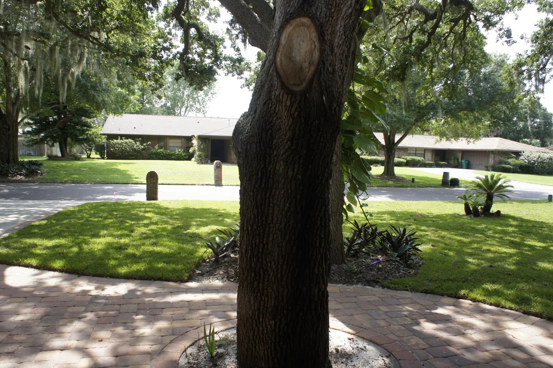 Photo of 1833 Oakwood