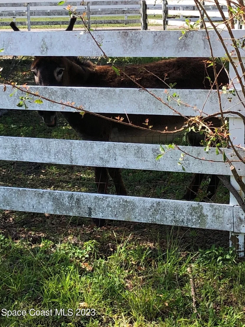 Photo of 580 Hall Road