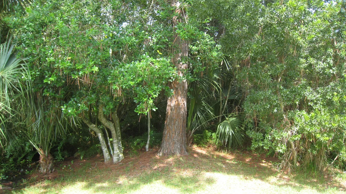 Photo of 1082 Wild Flower Drive