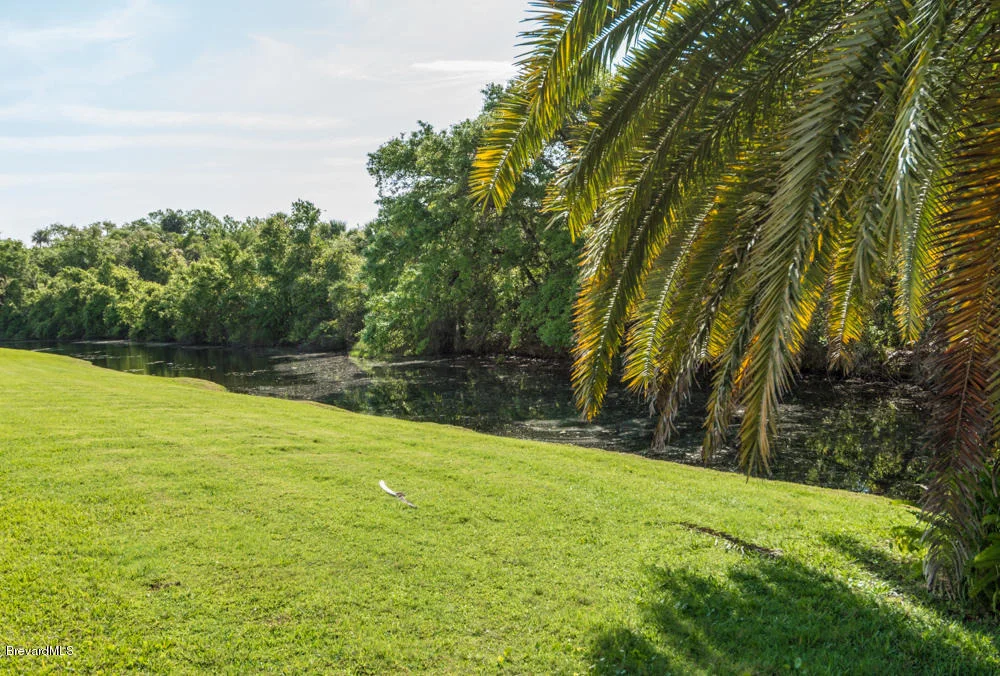 Photo of 985 Palm Brook Drive