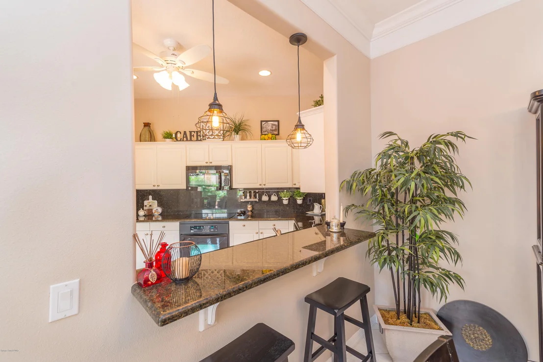 Photo of 919 Palm Brook Drive